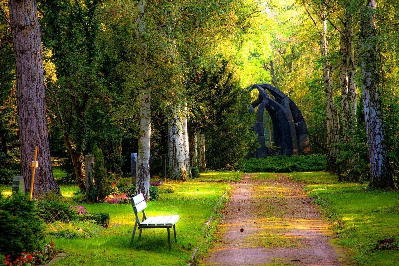 Virtual Events To Attend In May